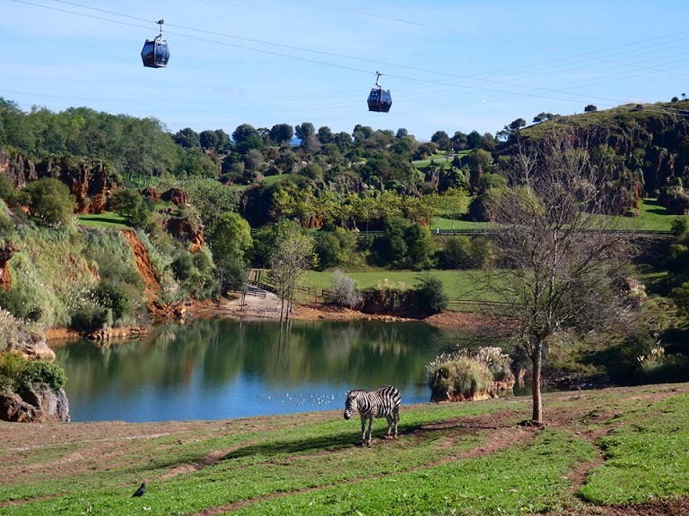 Parque Natural de Cabárceno: una reserva natural sorprendente en el corazón de Cantabria